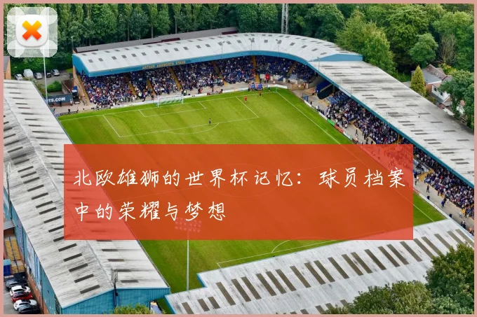 北欧雄狮的世界杯记忆：球员档案中的荣耀与梦想