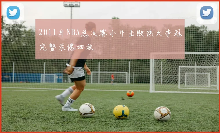 2011年NBA总决赛小牛击败热火夺冠完整录像回放